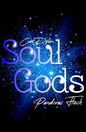 [Soul Gods 01] • Pandoras Fluch